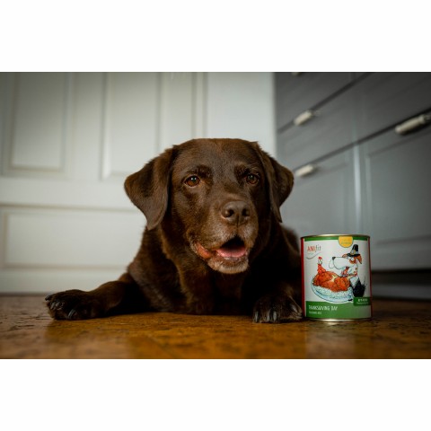 Hund Hundefutter Nassfutter Thanksgiving Day 200g 6 Stück -6- Anifit