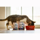 Katze Nassfutter Fisch à la Mode 200g 6 Stück -3- Anifit