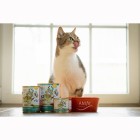 Katze Nassfutter Nautilus Ragout 200g 6 Stück -3- Anifit